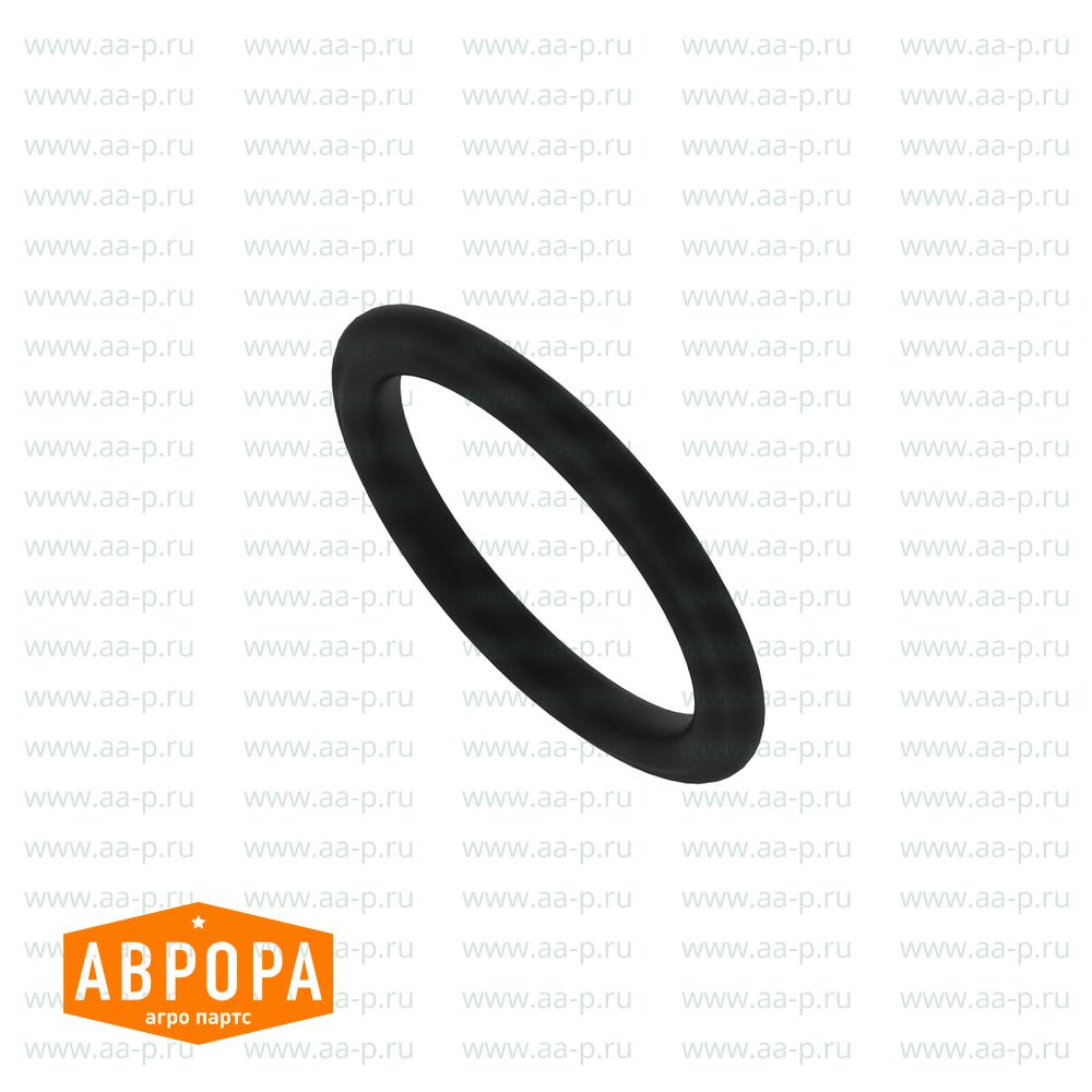 O-Ring-Satz